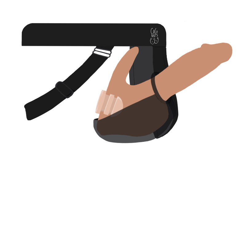 The harness holds the hard penis packer in place. The bottom pocket holds the silicone testicles in place. The sensation plug is inside the harness and faces slightly up to rub on the bottom growth or clitoris for pleasure.